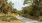 a person walking dogs on a path outside